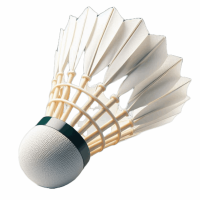 Pena_badminton